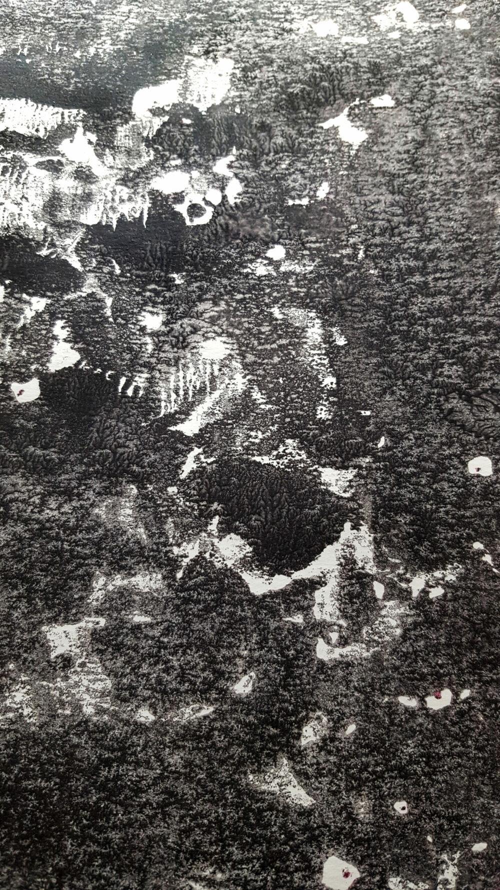 Shetland ~ Encre de Chine & Acrylique ~ Format 42x59,4 - A2 (non encadré) – Image 3