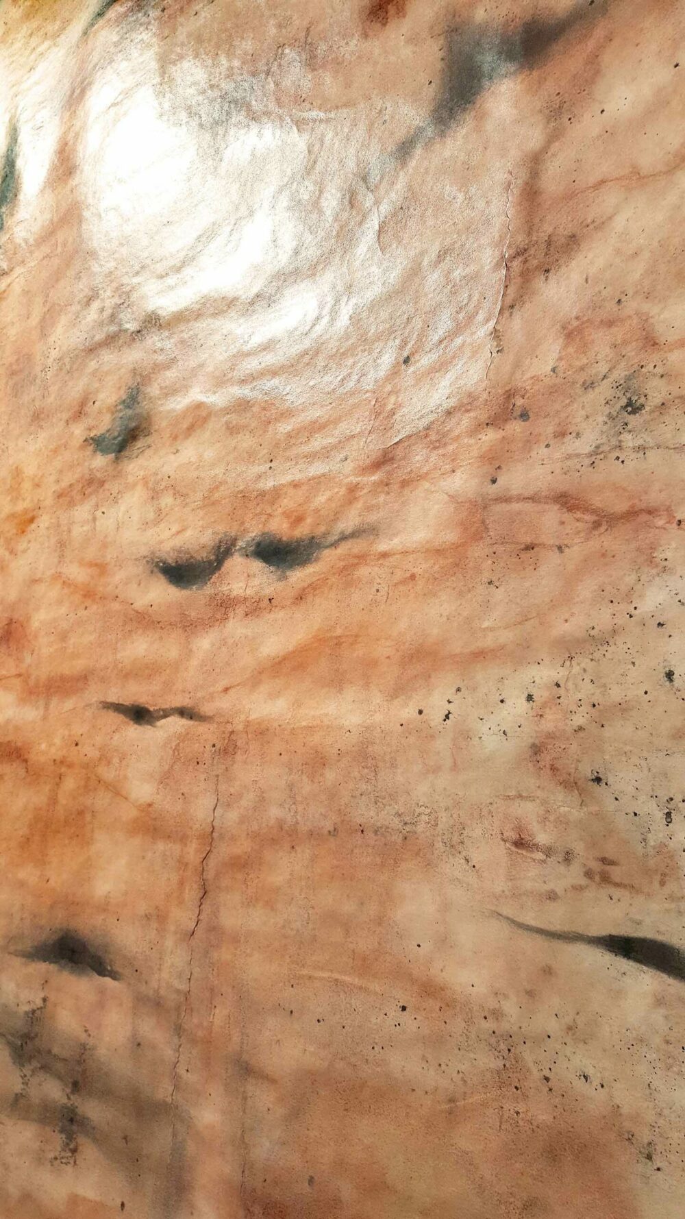 Sierra ~ Pigments, Encre de Chine & Fusain ~ Format 80 × 150 cm [ Habillage d’exposition / Panneau mural sur papier ] – Image 6