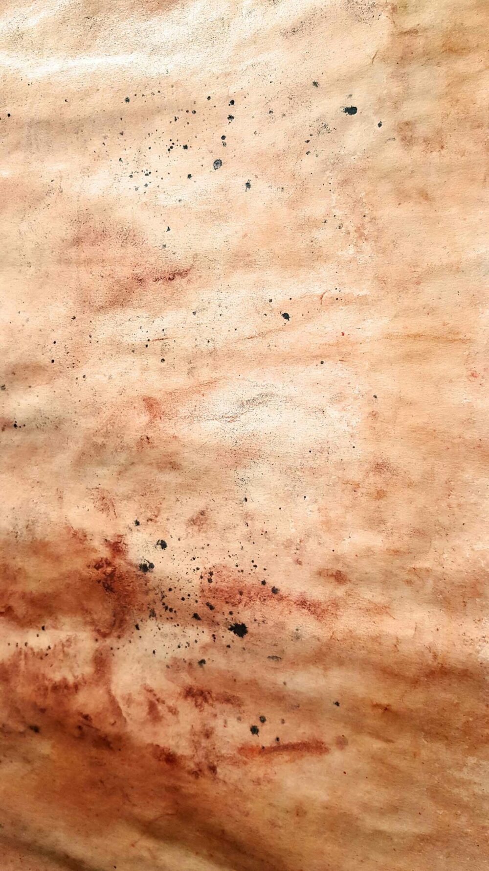 Sierra ~ Pigments, Encre de Chine & Fusain ~ Format 80 × 150 cm [ Habillage d’exposition / Panneau mural sur papier ] – Image 8