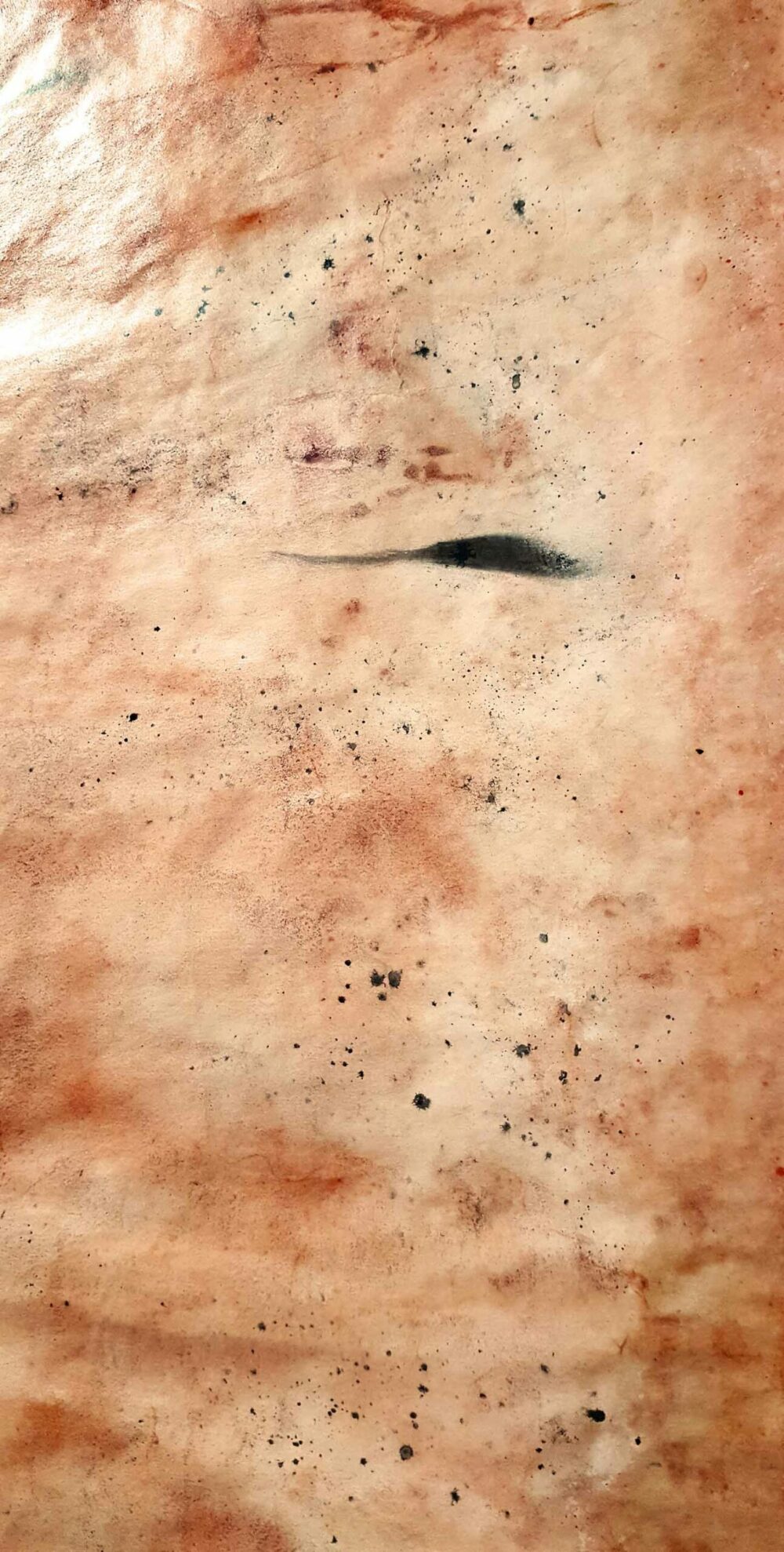 Sierra ~ Pigments, Encre de Chine & Fusain ~ Format 80 × 150 cm [ Habillage d’exposition / Panneau mural sur papier ] – Image 9
