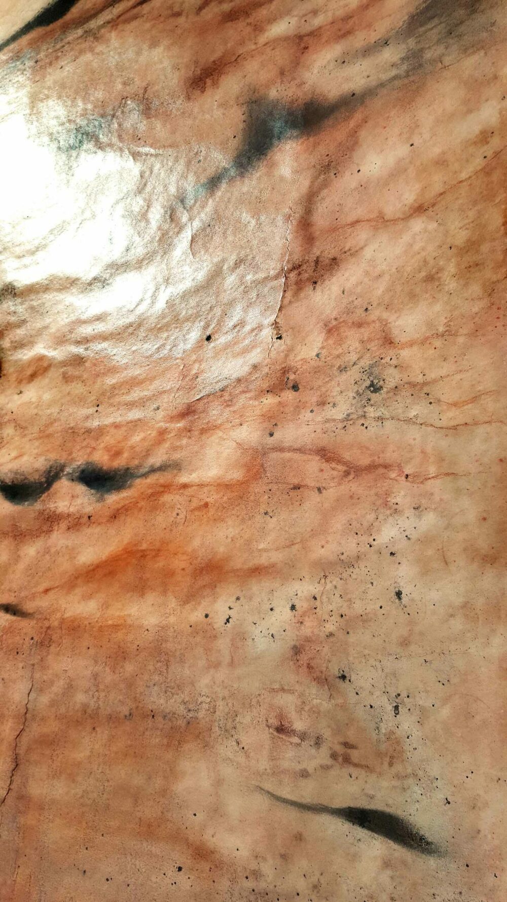 Sierra ~ Pigments, Encre de Chine & Fusain ~ Format 80 × 150 cm [ Habillage d’exposition / Panneau mural sur papier ] – Image 5