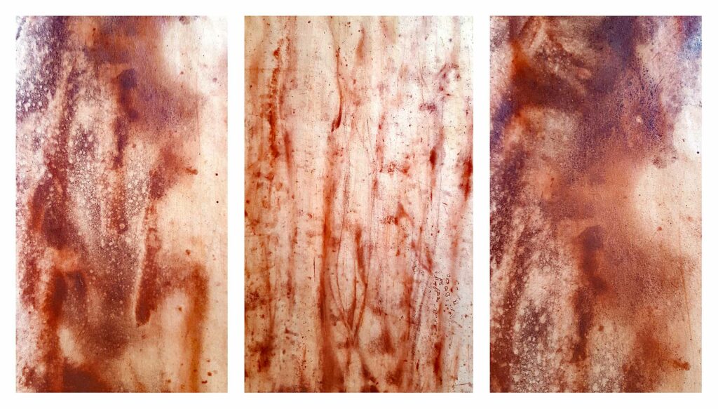 Yulunga ~ Pigments, Rouge de Venise ~ Format 80 × 150 cm [ Habillage d'exposition / Panneau mural sur papier ]