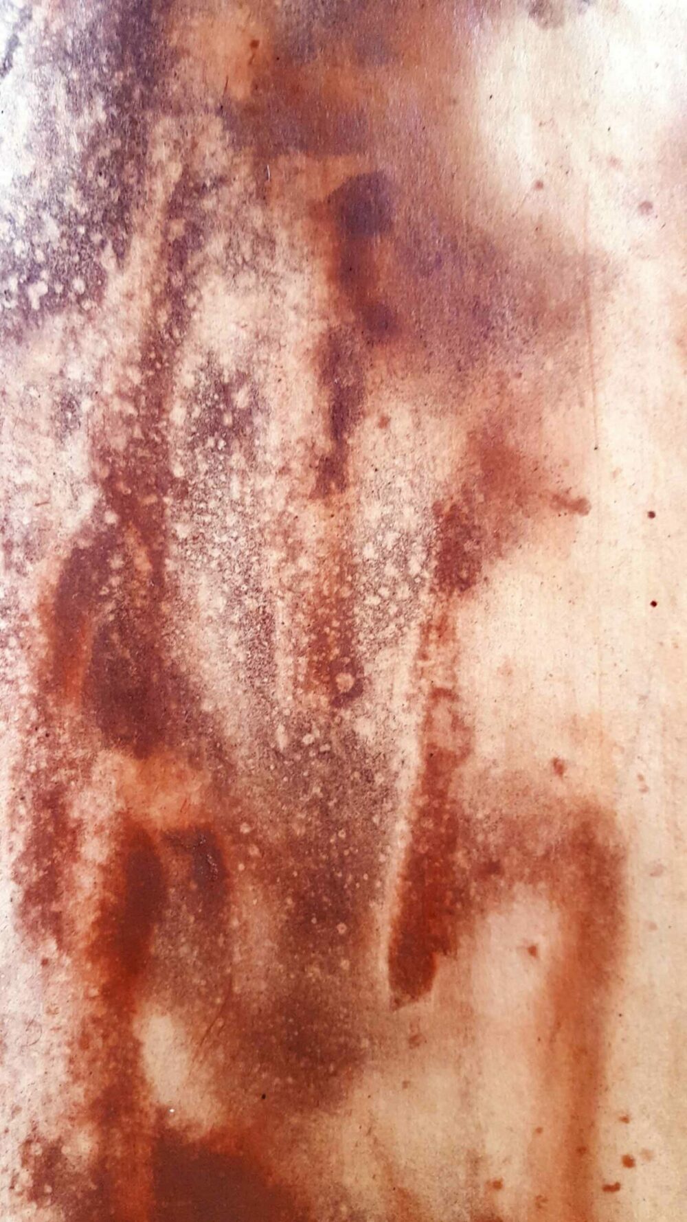 Yulunga ~ Pigments, Rouge de Venise ~ Format 80 × 150 cm [ Habillage d'exposition / Panneau mural sur papier ] – Image 15