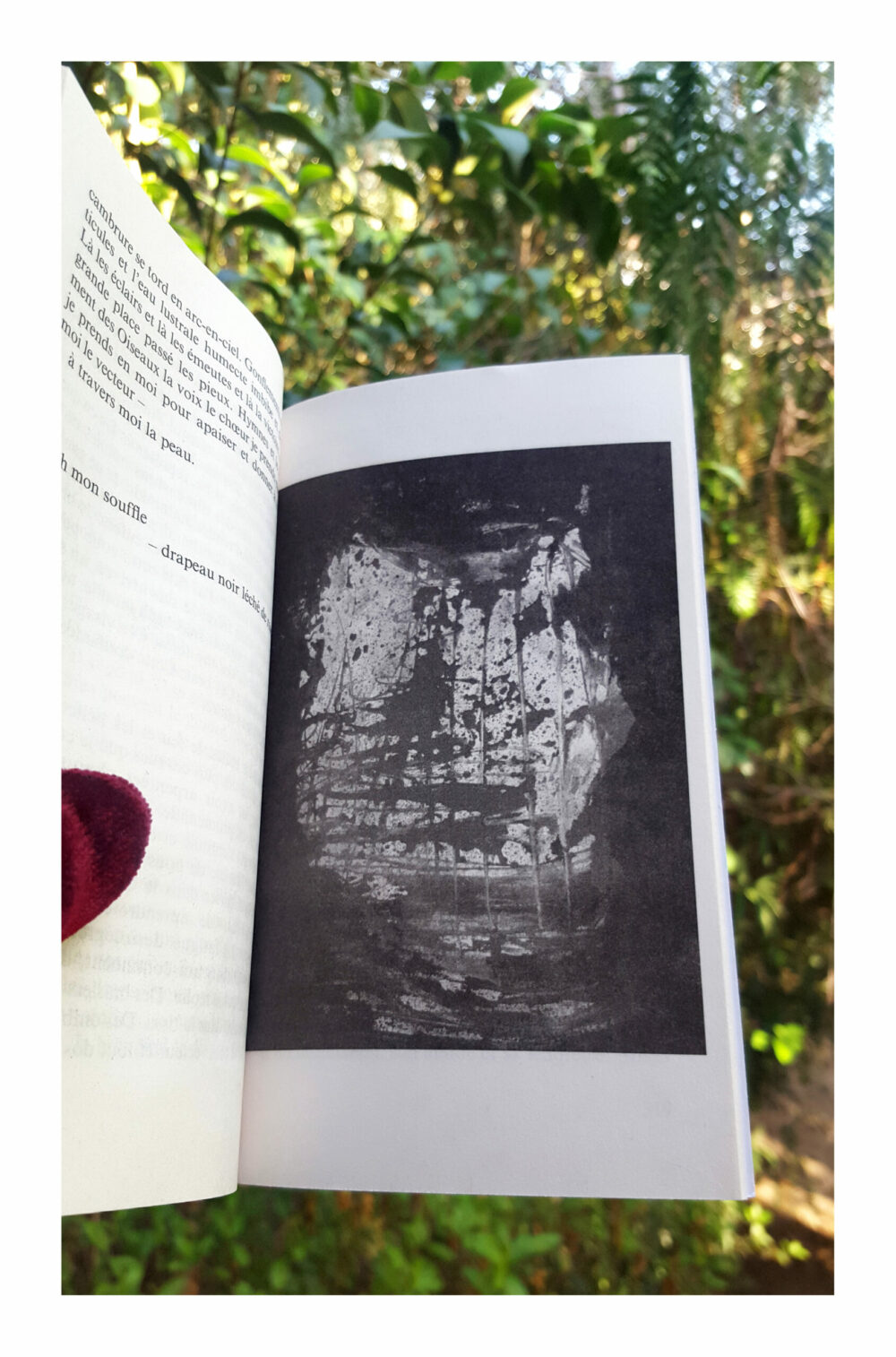 Melmoth Furieux ~ Roman de Sabrina Calvo illustré & dédicacé par mes soins + Carte Postale Limitée Signée ~ Folio Gallimard – Image 2