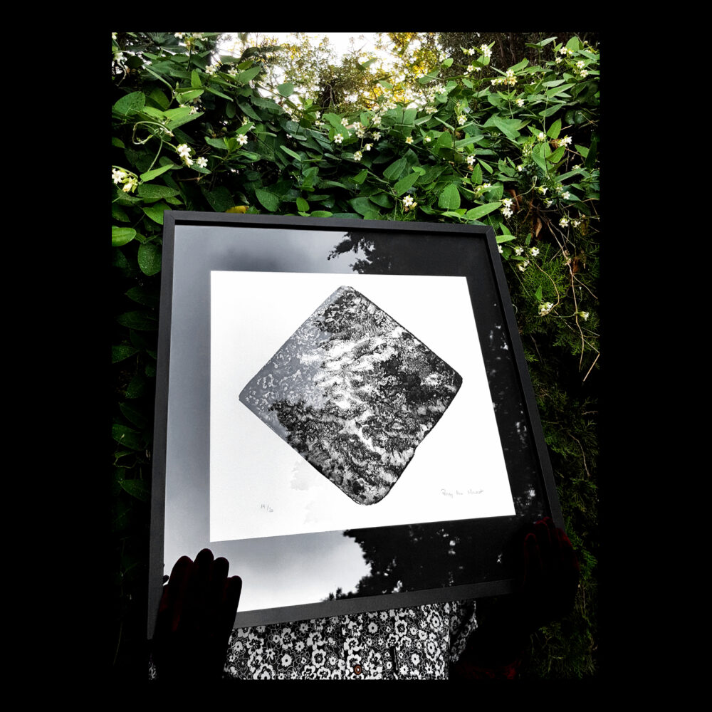 50x50