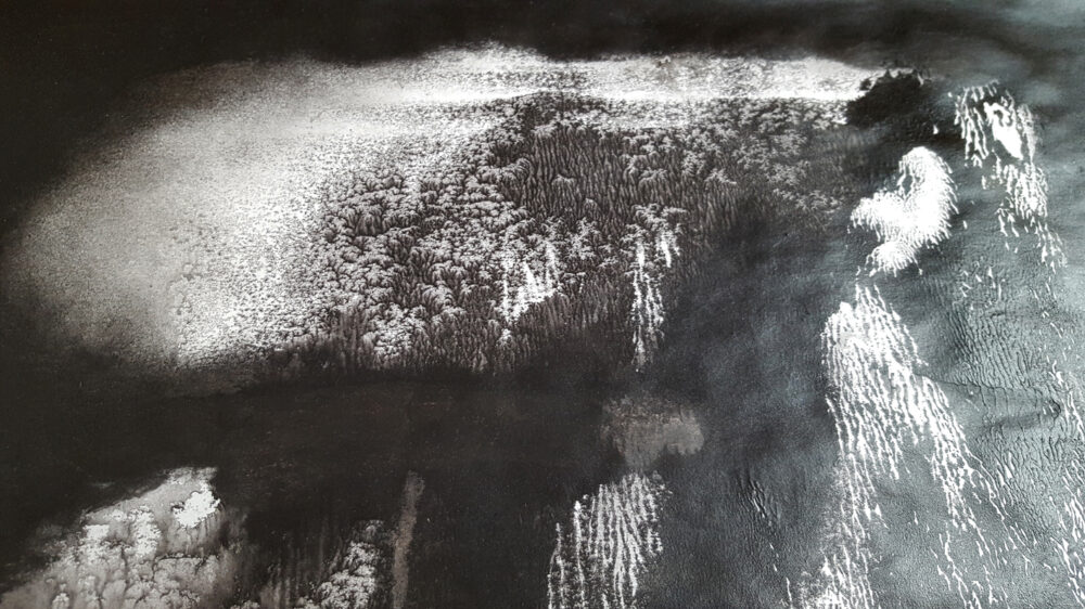 Dead Island I ~ Encre de Chine, Acrylique & Fusain ~ Encadré Métal Noir 40x60cm ~ SOLD OUT – Image 3