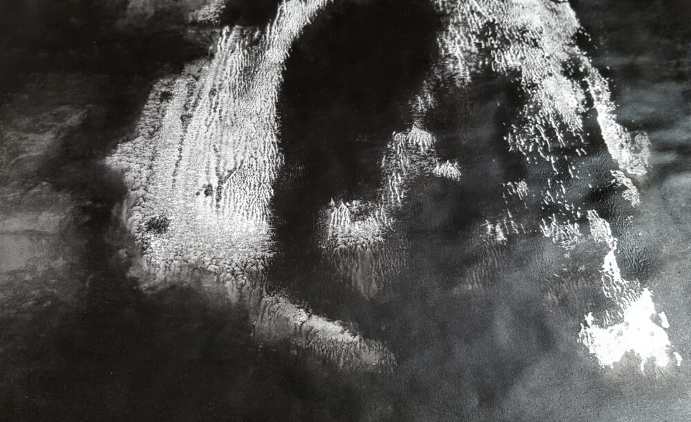Dead Island I ~ Encre de Chine, Acrylique & Fusain ~ Encadré Métal Noir 40x60cm ~ SOLD OUT – Image 6