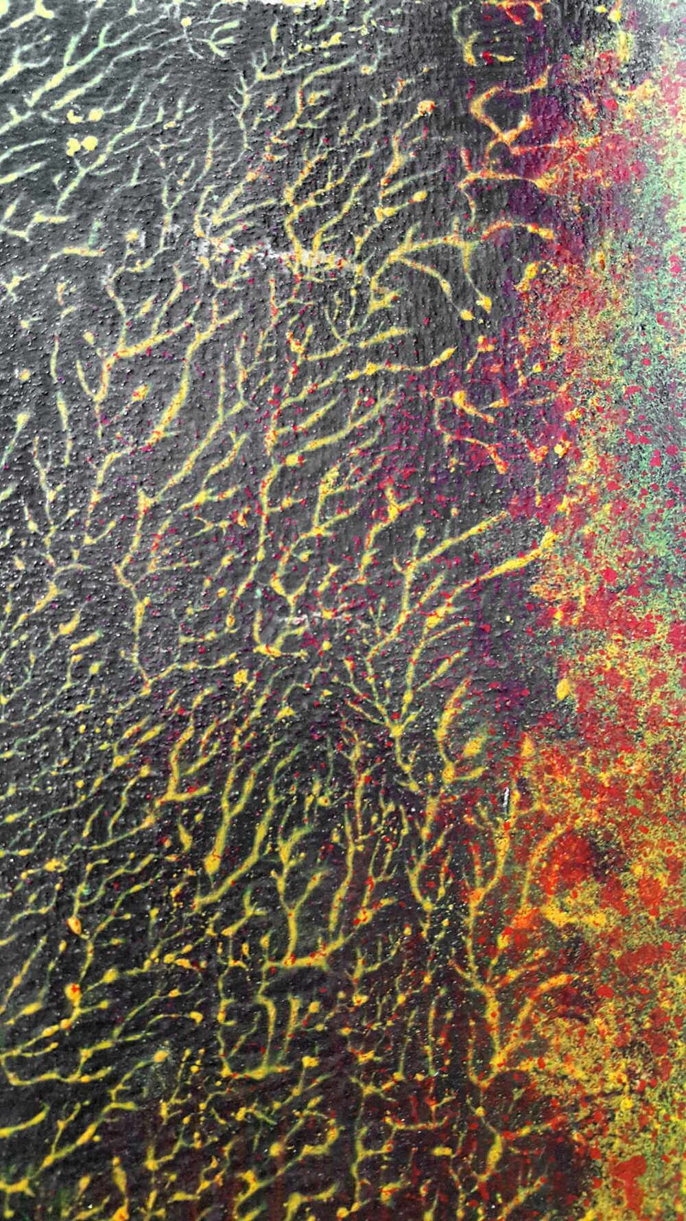 Pyrophytes II ~ Encre de Chine & Acrylique ~ 66 x 77 cm / Montval 400g (non encadré) – Image 4