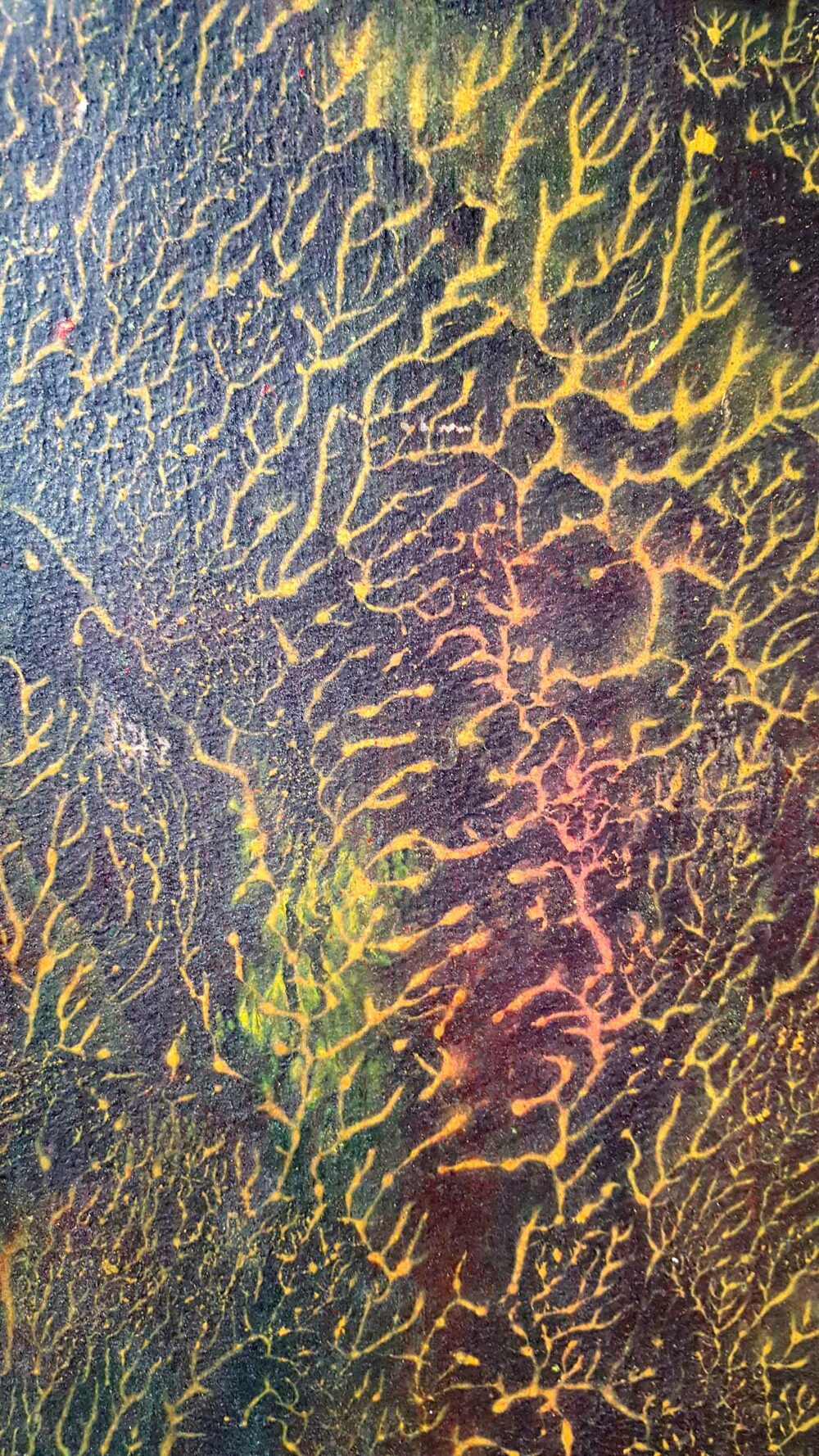 Pyrophytes II ~ Encre de Chine & Acrylique ~ 66 x 77 cm / Montval 400g (non encadré) – Image 11