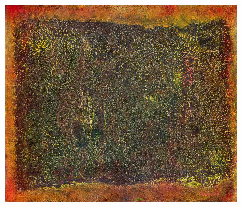 Pyrophytes II ~ Encre de Chine & Acrylique ~ 66 x 77 cm / Montval 400g (non encadré) – Image 22