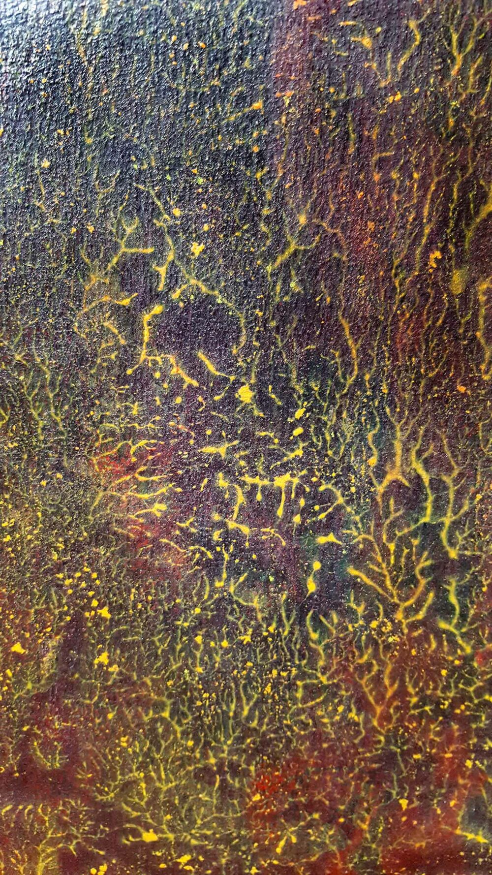 Pyrophytes II ~ Encre de Chine & Acrylique ~ 66 x 77 cm / Montval 400g (non encadré) – Image 2
