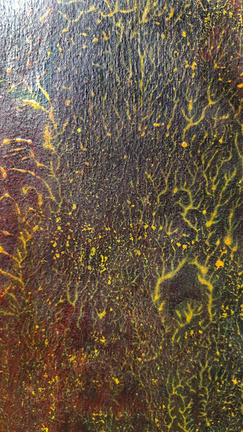 Pyrophytes II ~ Encre de Chine & Acrylique ~ 66 x 77 cm / Montval 400g (non encadré) – Image 17
