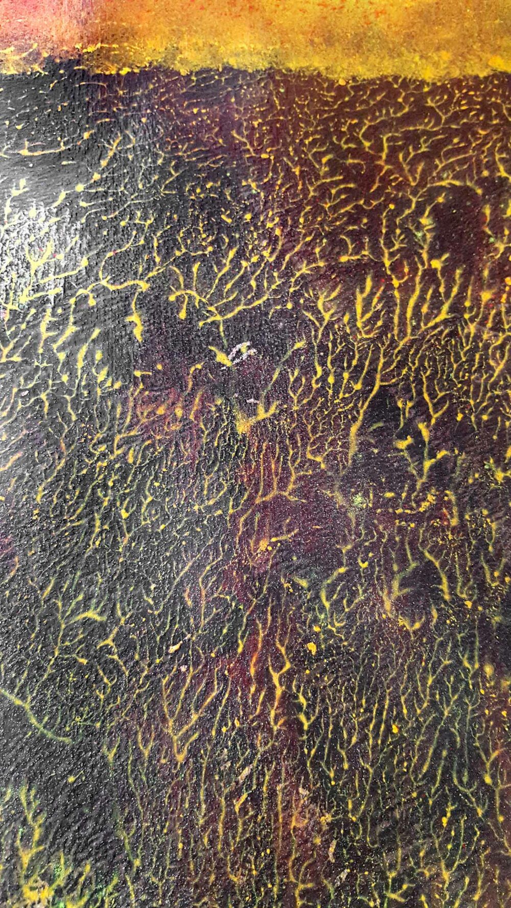 Pyrophytes II ~ Encre de Chine & Acrylique ~ 66 x 77 cm / Montval 400g (non encadré) – Image 20