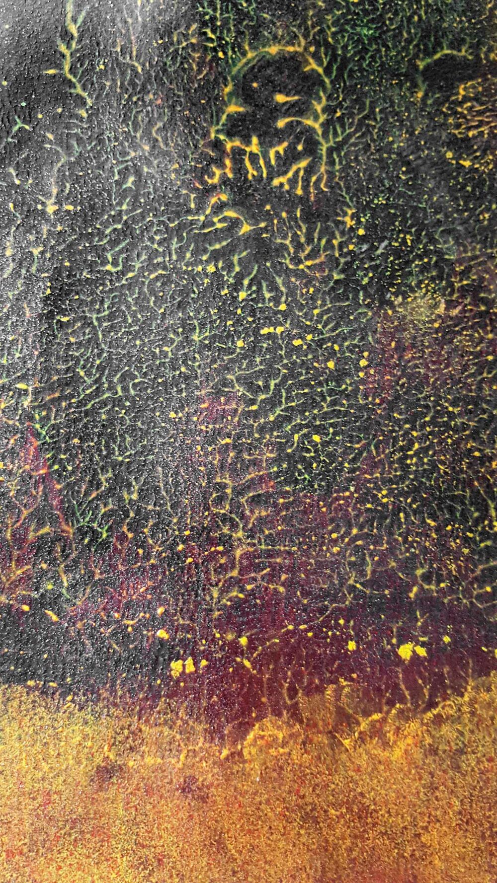 Pyrophytes II ~ Encre de Chine & Acrylique ~ 66 x 77 cm / Montval 400g (non encadré) – Image 15