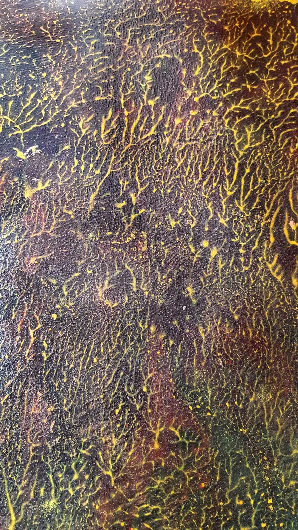 Pyrophytes II ~ Encre de Chine & Acrylique ~ 66 x 77 cm / Montval 400g (non encadré) – Image 21