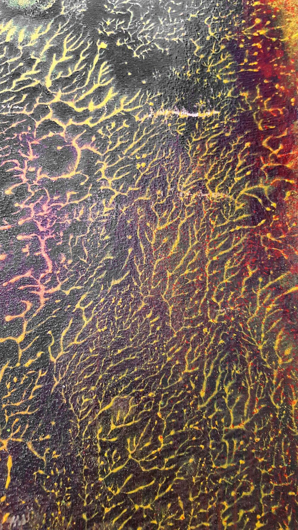Pyrophytes II ~ Encre de Chine & Acrylique ~ 66 x 77 cm / Montval 400g (non encadré) – Image 18