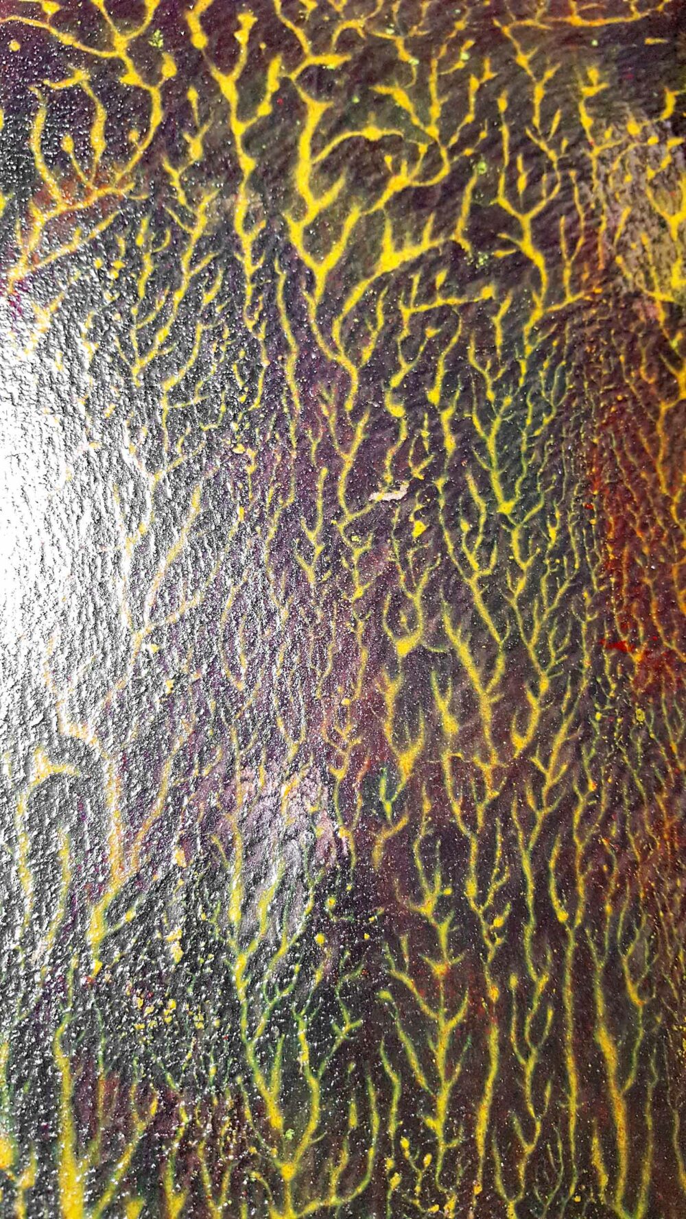 Pyrophytes II ~ Encre de Chine & Acrylique ~ 66 x 77 cm / Montval 400g (non encadré) – Image 5