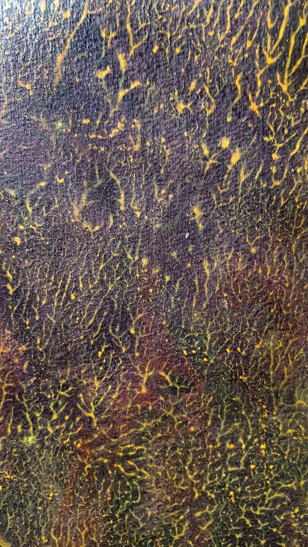 Pyrophytes II ~ Encre de Chine & Acrylique ~ 66 x 77 cm / Montval 400g (non encadré) – Image 13