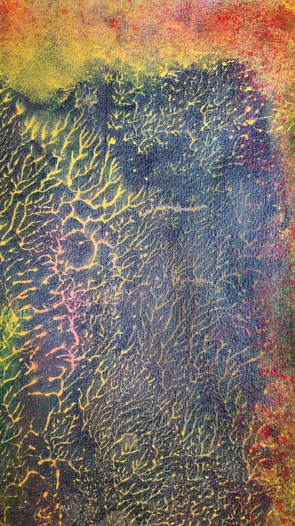 Pyrophytes II ~ Encre de Chine & Acrylique ~ 66 x 77 cm / Montval 400g (non encadré) – Image 12