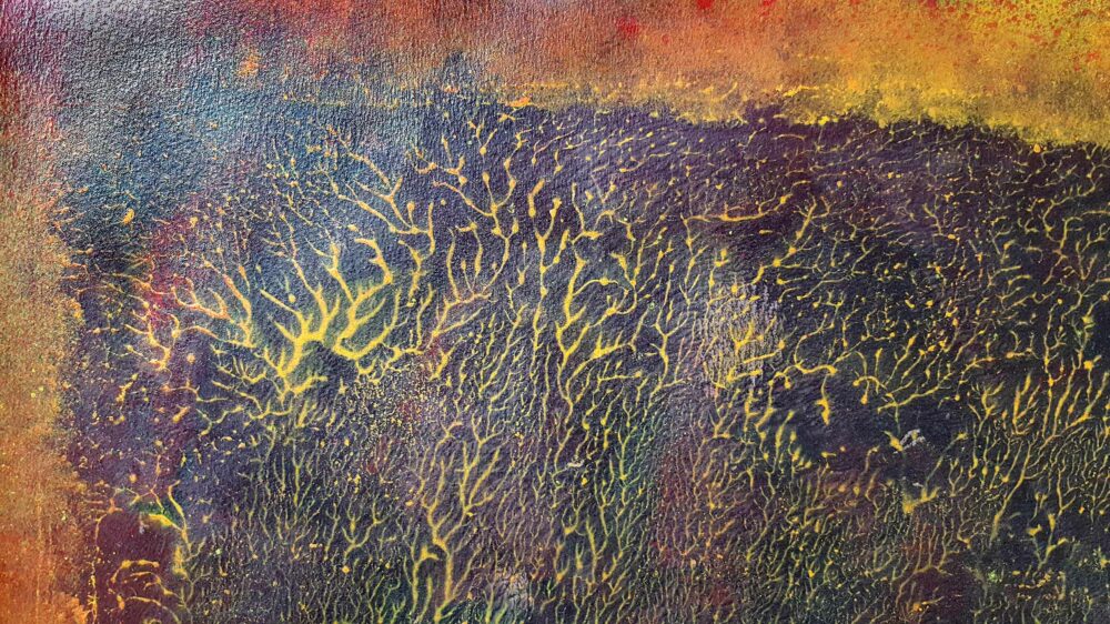 Pyrophytes II ~ Encre de Chine & Acrylique ~ 66 x 77 cm / Montval 400g (non encadré) – Image 19