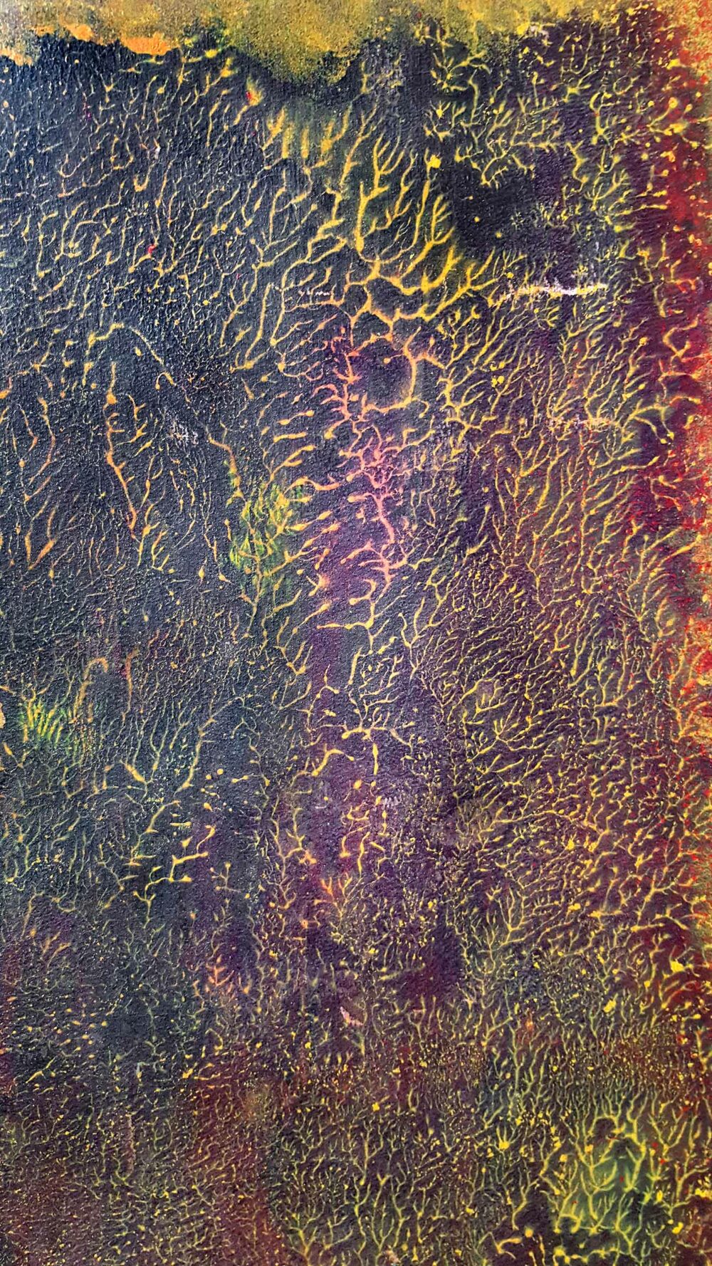 Pyrophytes II ~ Encre de Chine & Acrylique ~ 66 x 77 cm / Montval 400g (non encadré) – Image 10