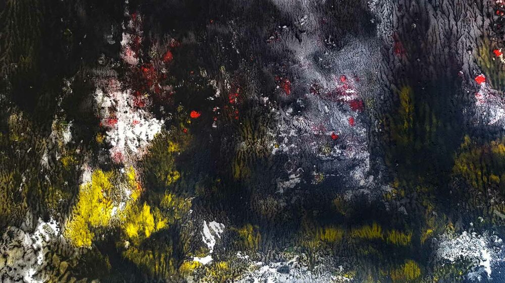 Ashley’s Glade ~ Aquarelle, Encre de Chine, Acrylique & Fusain ~ 66 x 77 cm / Montval 400g (non encadré) – Image 3