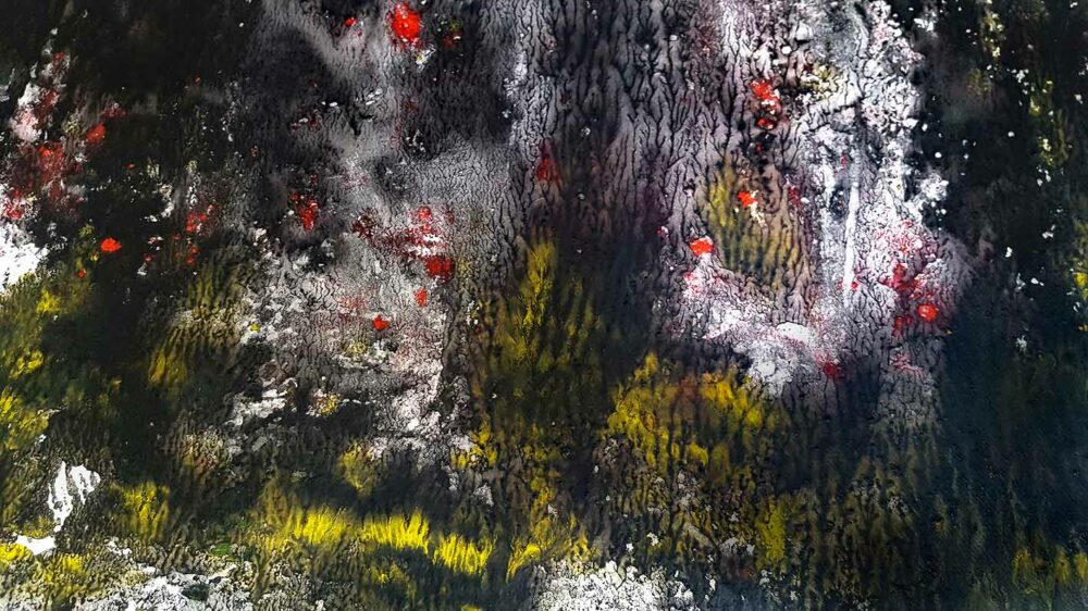 Ashley’s Glade ~ Aquarelle, Encre de Chine, Acrylique & Fusain ~ 66 x 77 cm / Montval 400g (non encadré) – Image 4
