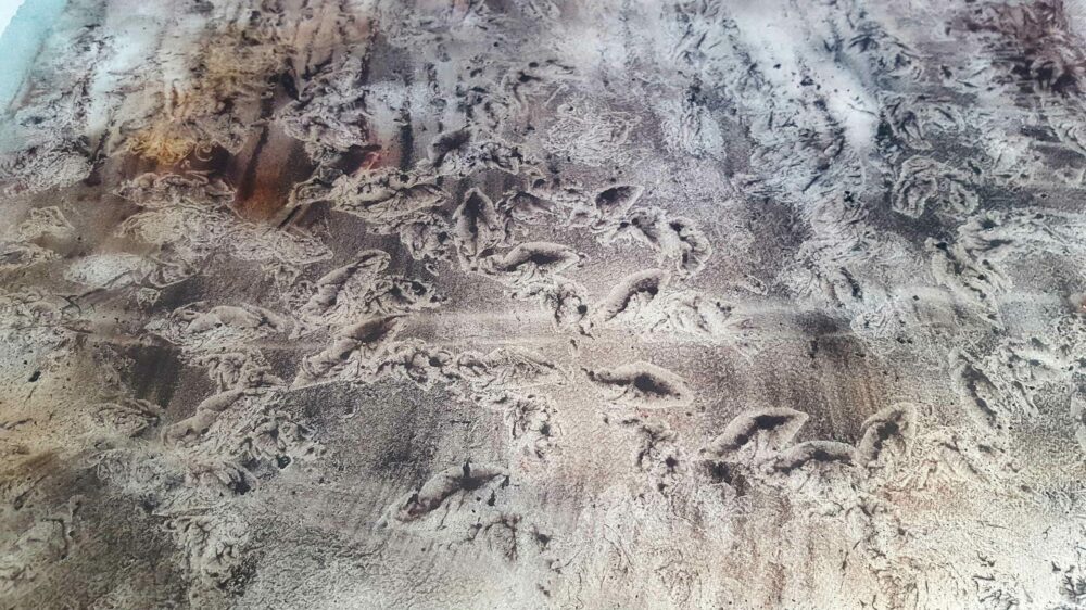 Blue Bayou ~ Aquarelle, Encre de Chine & Acrylique ~ 66 x 77 cm / Montval 400g (non encadré) ~ SOLD OUT – Image 16