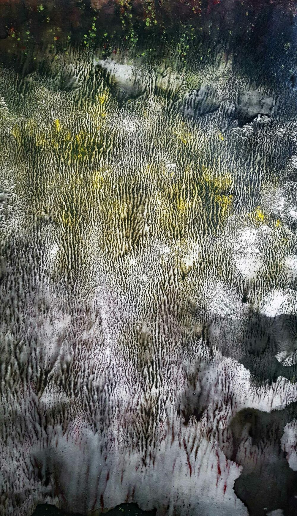 Bramabiau ~ Encre de Chine & Acrylique ~ 66 x 77 cm / Montval 400g (non encadré) – Image 6
