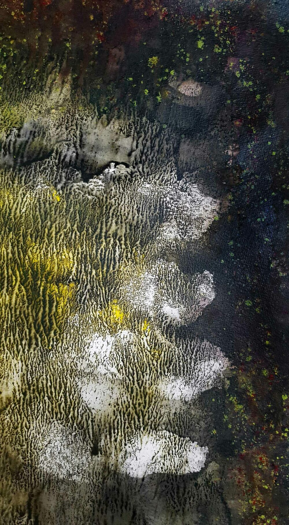 Bramabiau ~ Encre de Chine & Acrylique ~ 66 x 77 cm / Montval 400g (non encadré) – Image 8