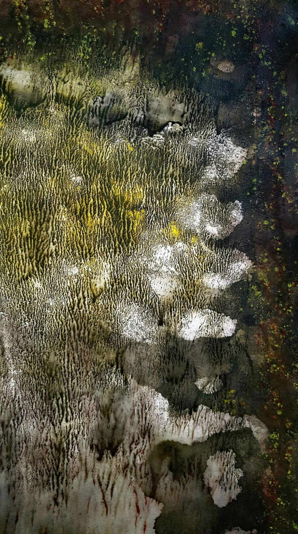 Bramabiau ~ Encre de Chine & Acrylique ~ 66 x 77 cm / Montval 400g (non encadré) – Image 7