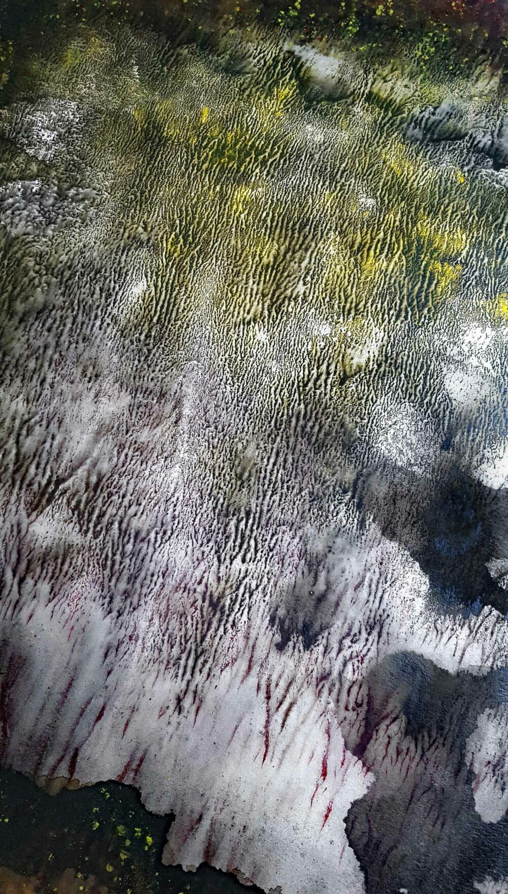 Bramabiau ~ Encre de Chine & Acrylique ~ 66 x 77 cm / Montval 400g (non encadré) – Image 4