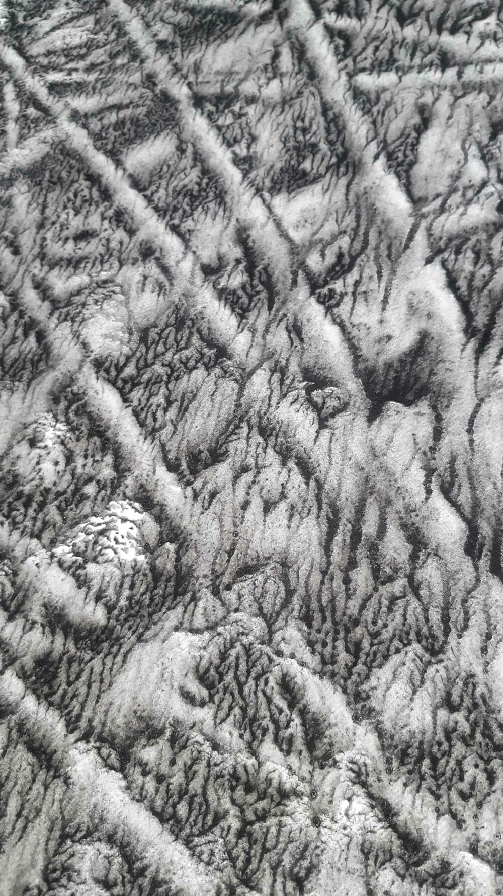 Champ de Dix (a vision from Otto) ~ Encre de Chine & Acrylique ~ 66 x 77 cm / Montval 400g (non encadré) – Image 15