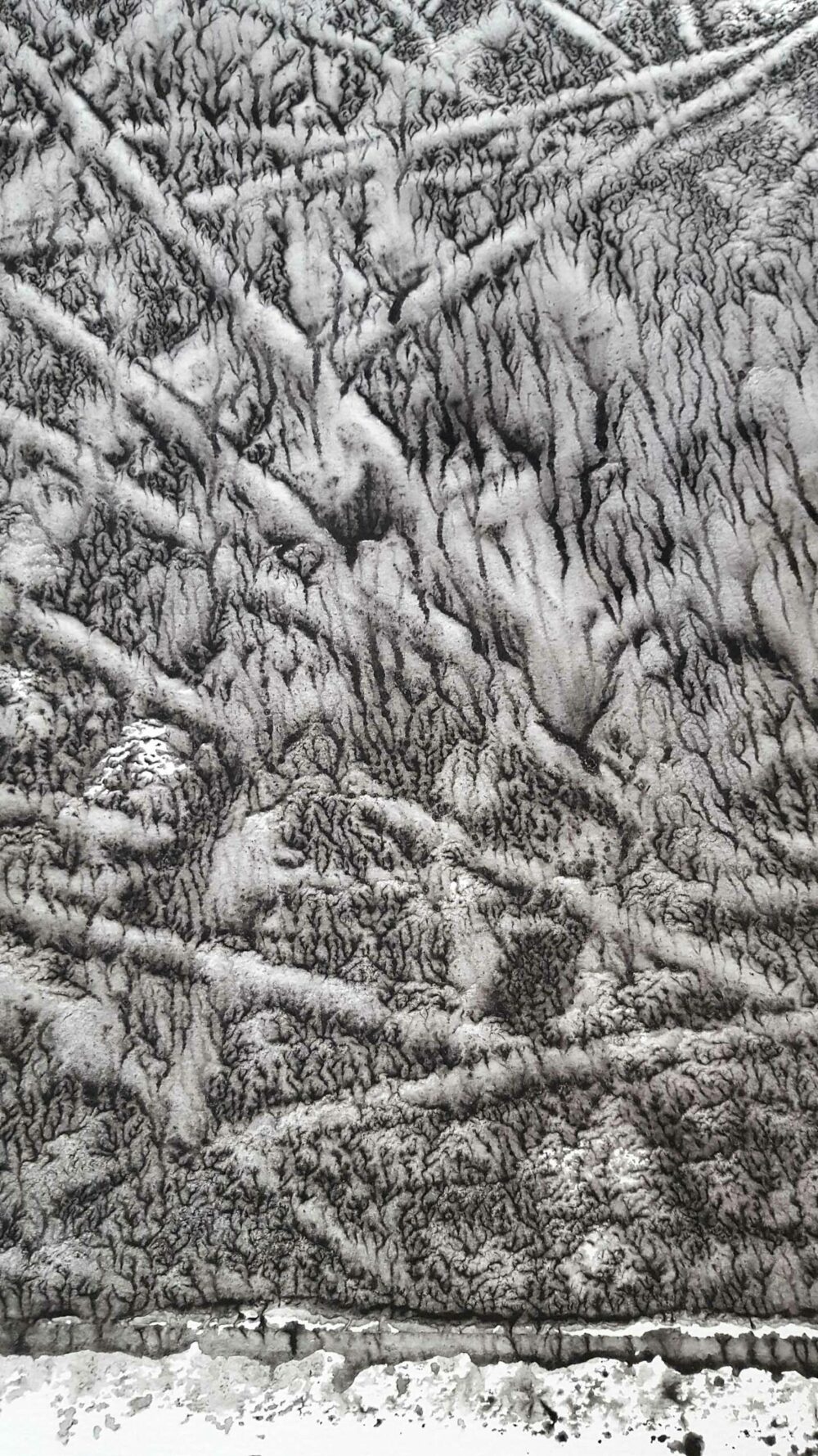 Champ de Dix (a vision from Otto) ~ Encre de Chine & Acrylique ~ 66 x 77 cm / Montval 400g (non encadré) – Image 16