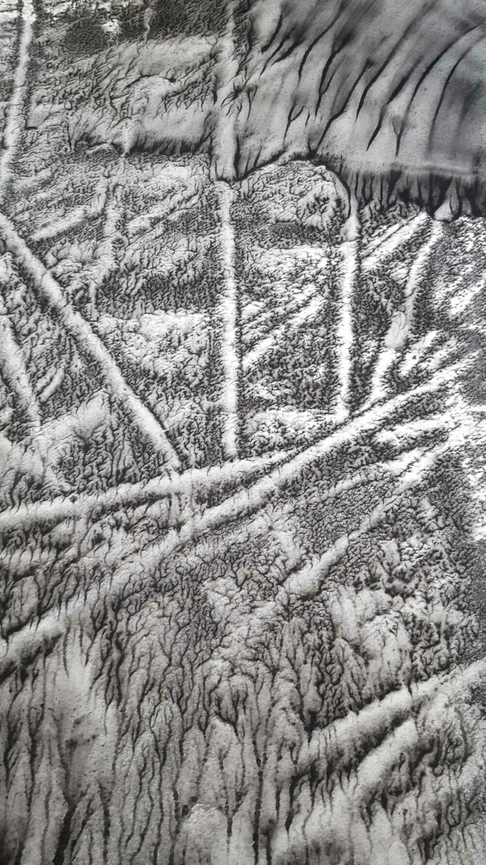 Champ de Dix (a vision from Otto) ~ Encre de Chine & Acrylique ~ 66 x 77 cm / Montval 400g (non encadré) – Image 3