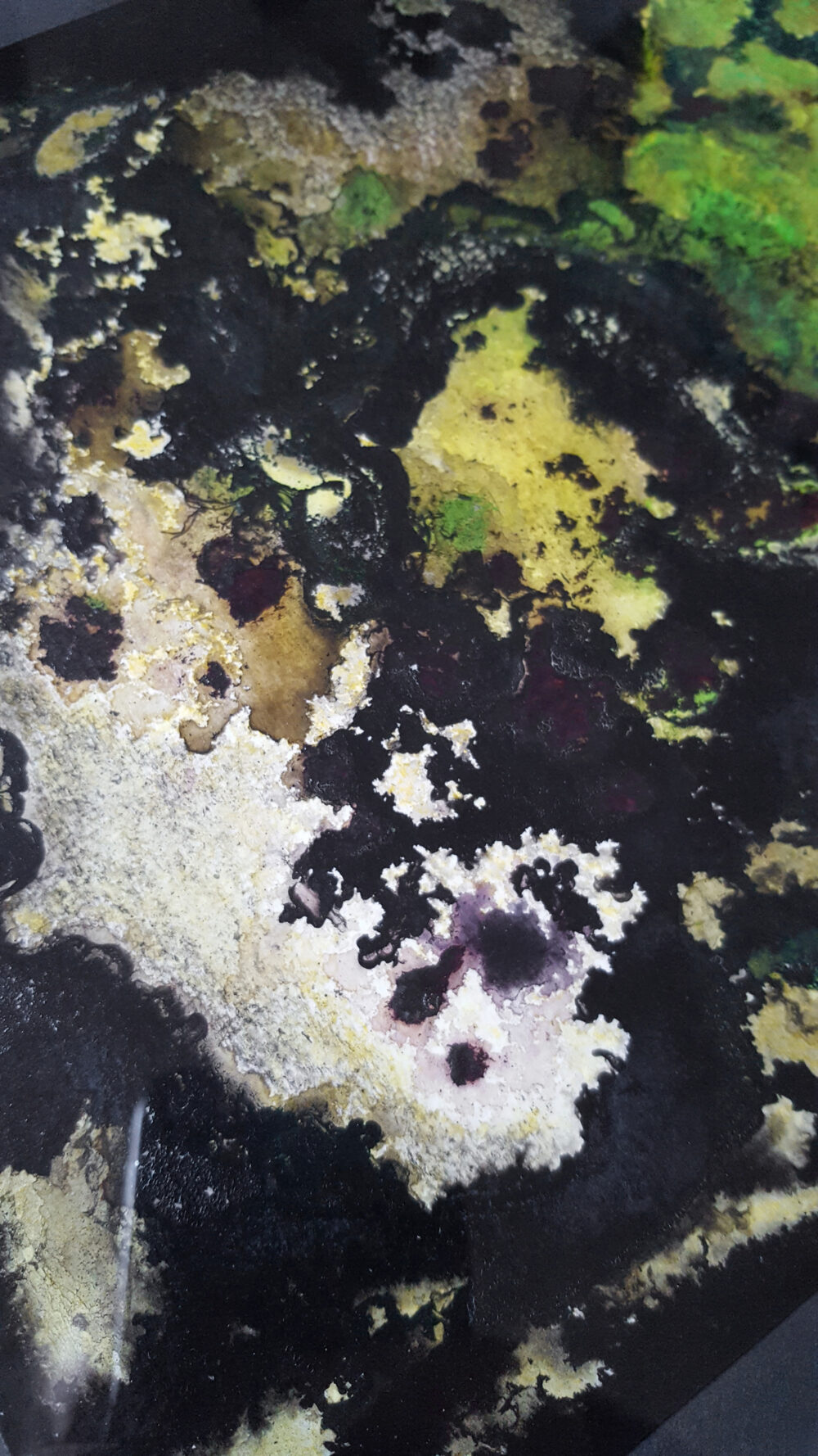 L’Arbre d’Ys ~ Encre de Chine, Acrylique, Pastels ~ Encadré Bois Acajou sculpté 30x40 ~ SOLD OUT – Image 11