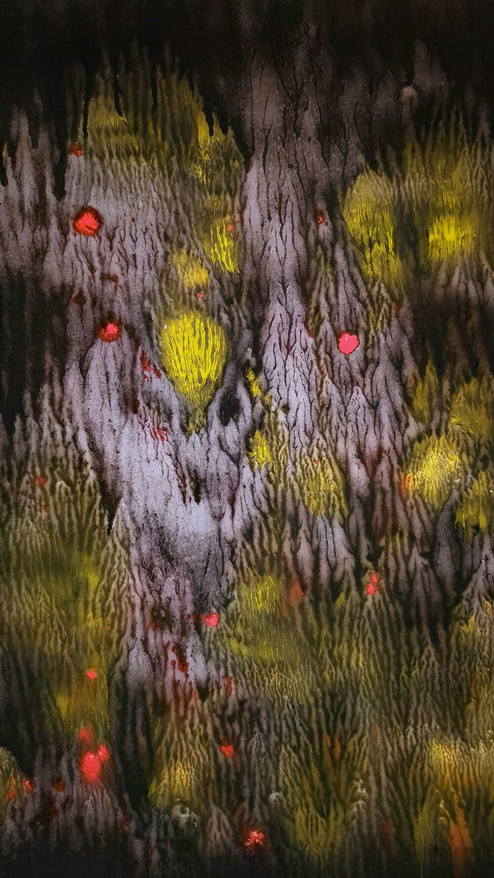 The Wonderful Land of Oz ~ Acrylique, Encre de Chine & Fusain ~ 66 x 77 cm / Montval 400g (non encadré) – Image 3