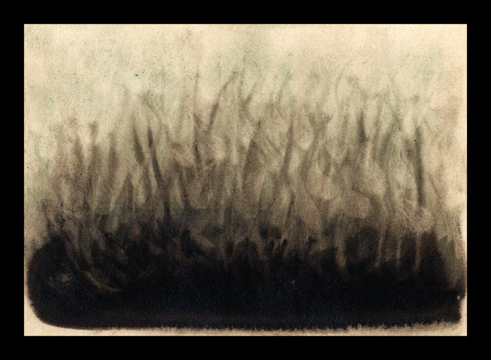 Meadow Ghosts ~ Aquarelle & Encre de Chine ~ 13x18 Encadré bois vert – Image 5