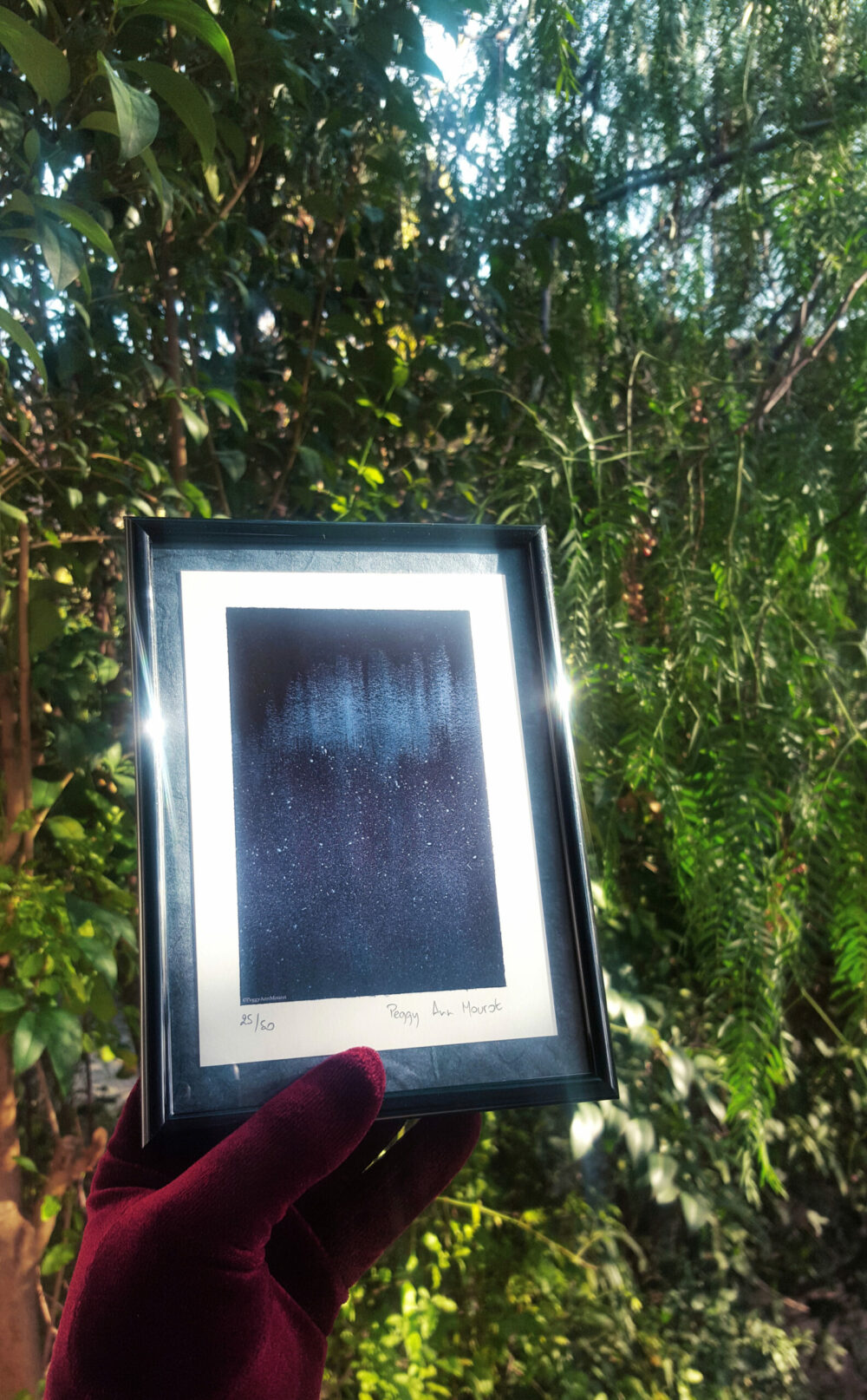 Cartes Postales Nebel Leben Limitée à 50ex N°Signée & Papier Japonais Bleu ~ 13×18 Encadrée