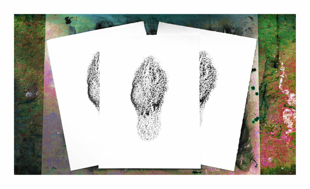 Sérigraphie Morchella Conica (Morille) ~ Velin d’Arches 250g ~ N°&Signée ~ Limitée à 20ex ~ Format 30x40
