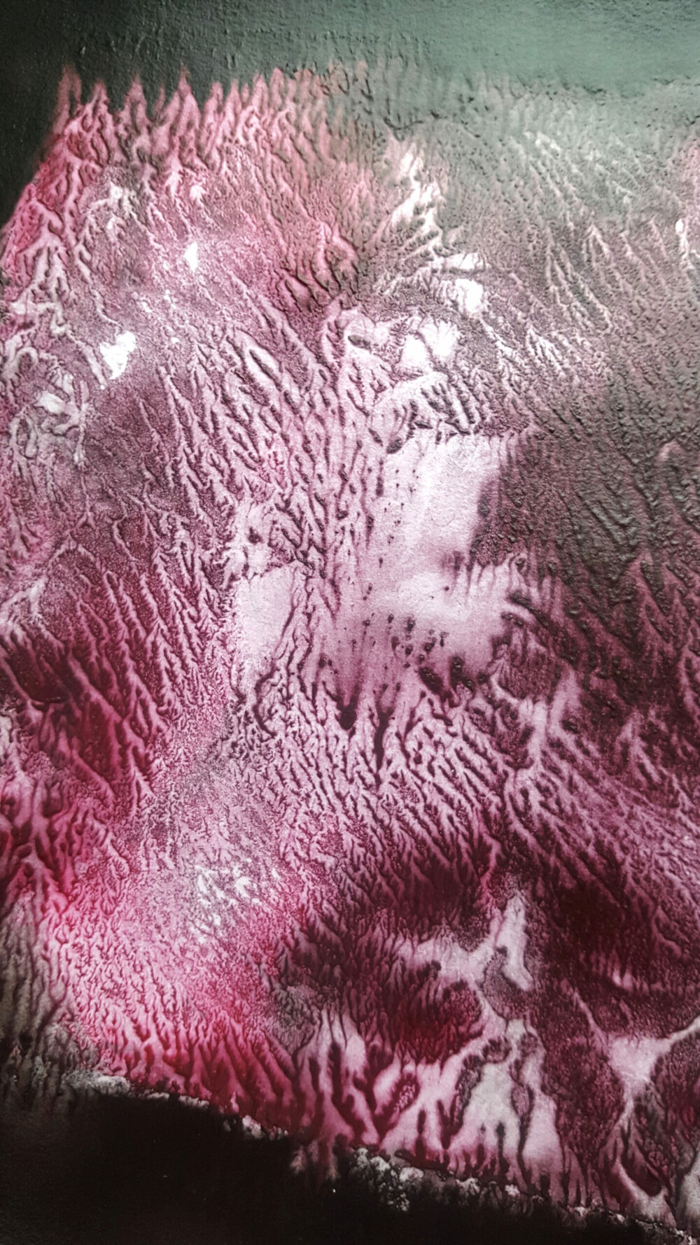 L’Île des Morts (Dead Island III) ~ Encre de Chine & Acrylique ~ Encadré 40×50 – Image 3