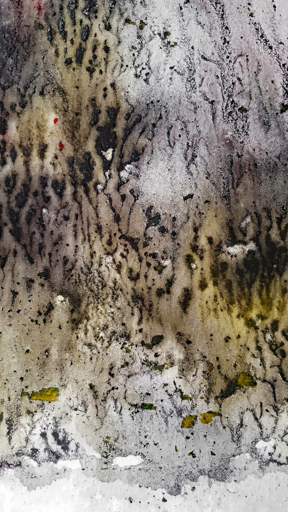 The Glade ~ Aquarelle, Encre de Chine & Acrylique ~ 66 x 77 cm / Montval 400g (non encadré) – Image 8