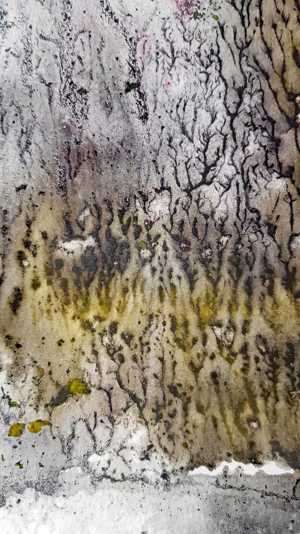 The Glade ~ Aquarelle, Encre de Chine & Acrylique ~ 66 x 77 cm / Montval 400g (non encadré) – Image 7
