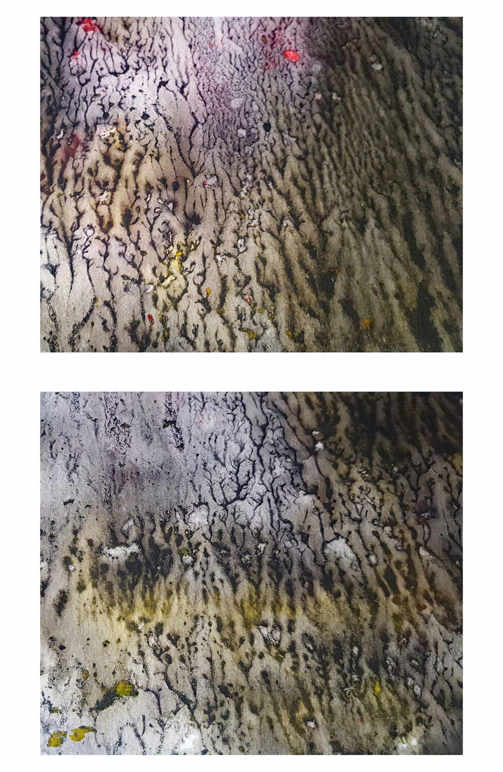 The Glade ~ Aquarelle, Encre de Chine & Acrylique ~ 66 x 77 cm / Montval 400g (non encadré) – Image 10