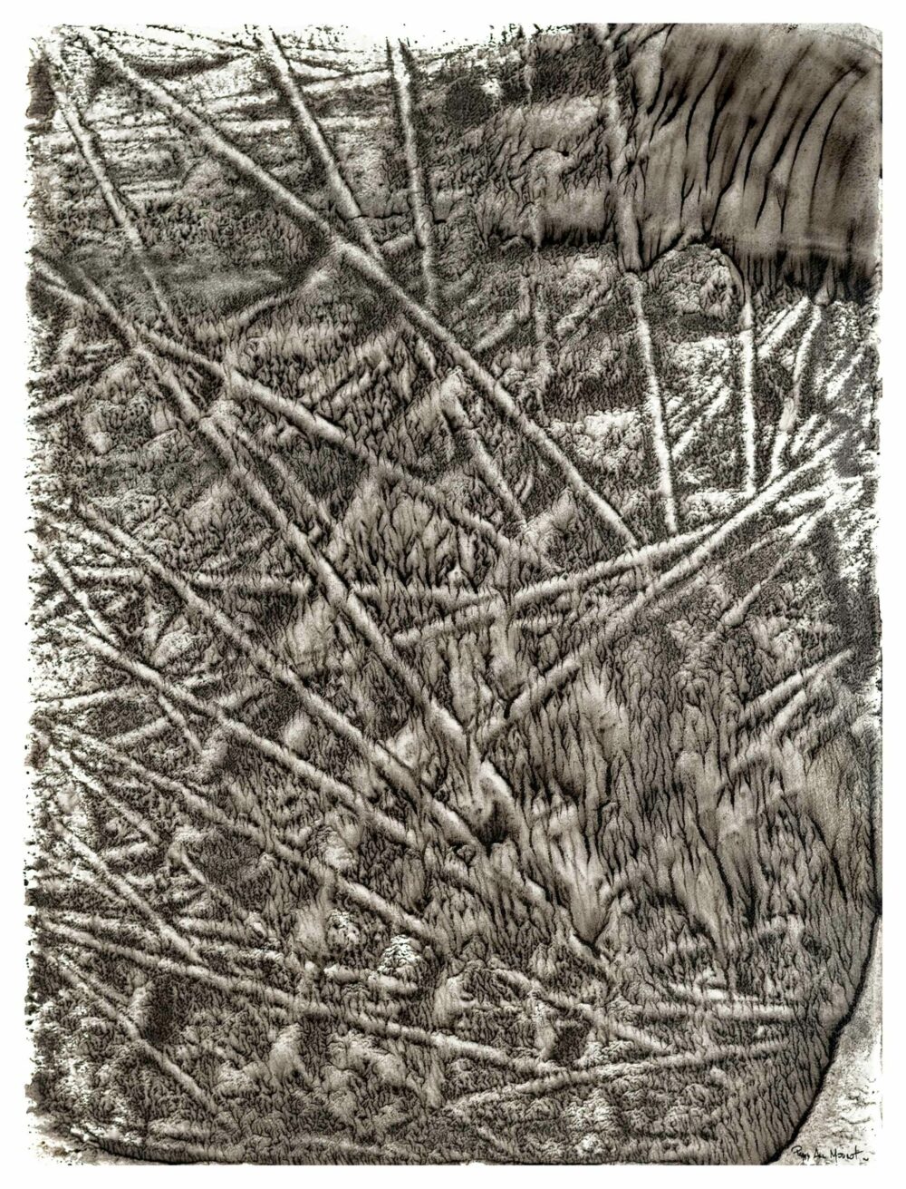 Champ de Dix (a vision from Otto) ~ Encre de Chine & Acrylique ~ 66 x 77 cm / Montval 400g (non encadré) – Image 18