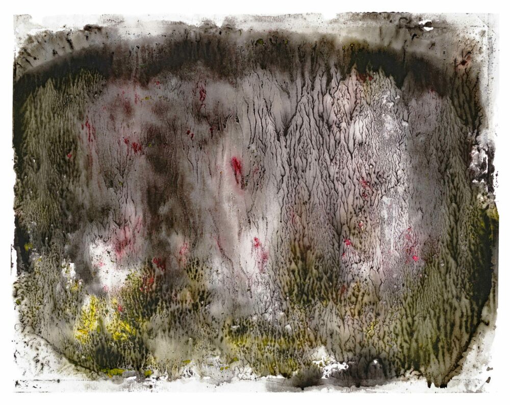 The Glade ~ Aquarelle, Encre de Chine & Acrylique ~ 66 x 77 cm / Montval 400g (non encadré) – Image 18