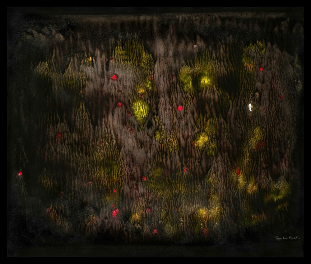 The Wonderful Land of Oz ~ Acrylique, Encre de Chine & Fusain ~ 66 x 77 cm / Montval 400g (non encadré)